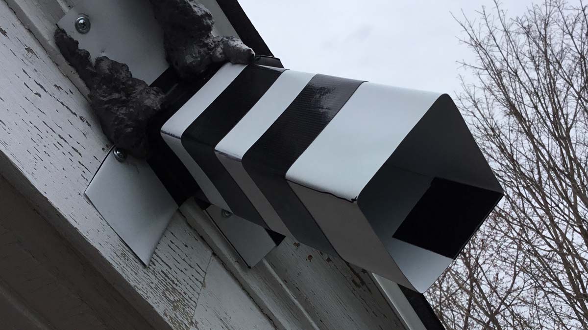 Animal Exclusion Bloomington